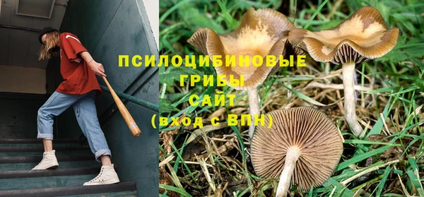 синтетический гашиш Алексеевка