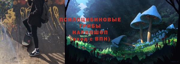 гидра Алексин