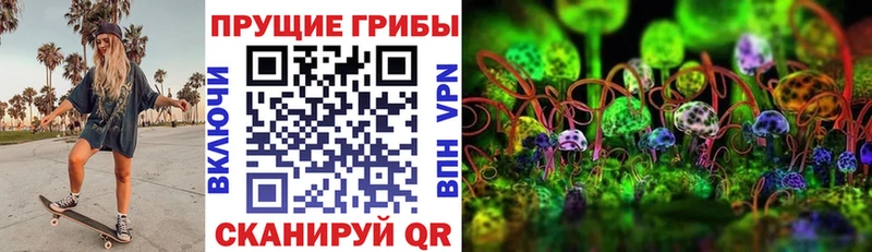 как найти закладки  Чаплыгин  это наркотические препараты  Галлюциногенные грибы Cubensis  гидра ТОР 